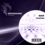DSR333 ArcoX - Forest Noise