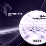 DSD162 Gatto - Running In A Dream