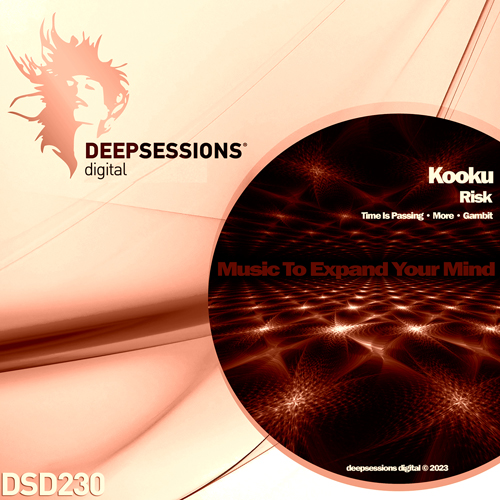 DSD230 Kooku – Risk