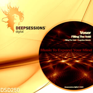 DSD250 Voser – Filling The Void