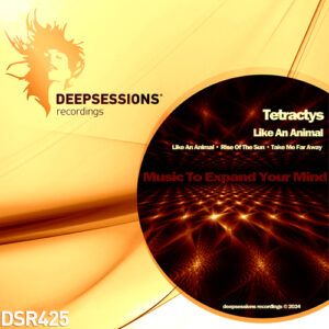 https://www.deepsessionsrecordings.com/wp-content/uploads/2023/12/DSR425_500-300x300.jpg