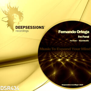 https://www.deepsessionsrecordings.com/wp-content/uploads/2024/02/DSR434_500-300x300.jpg