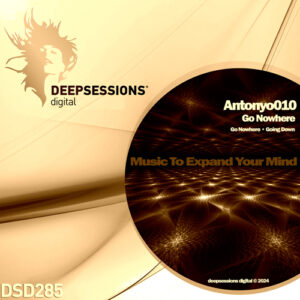 https://www.deepsessionsrecordings.com/wp-content/uploads/2024/10/DSD285_500-300x300.jpg