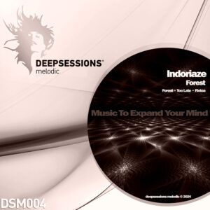 https://www.deepsessionsrecordings.com/wp-content/uploads/2024/11/DSM004_500--300x300.jpg