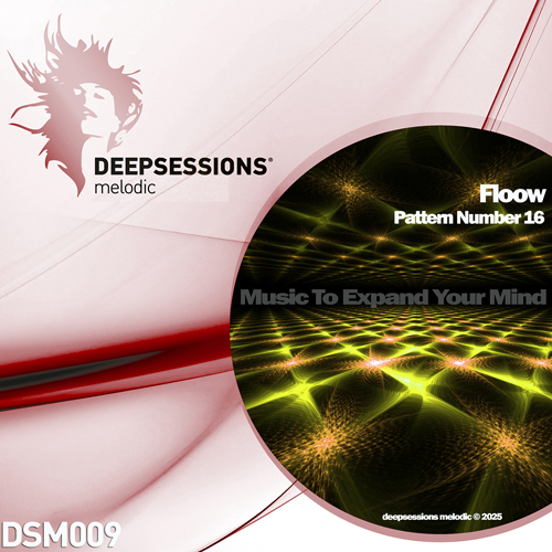 https://www.deepsessionsrecordings.com/wp-content/uploads/2024/12/DSM009_500.jpg