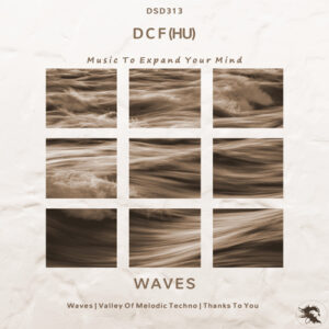 DSD313 DCF (HU) - Waves
