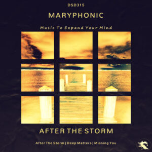 DSD315 M A R Y P H O N I C - After The Storm