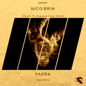 DSR491 NICO BRIN - Faera
