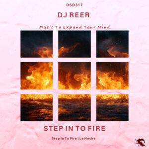 DSD317 DJ REER - Step In To Fire