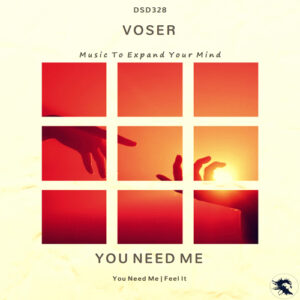 DSD328 Voser - You Need Me