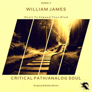 DSR511 William James - Critical Path