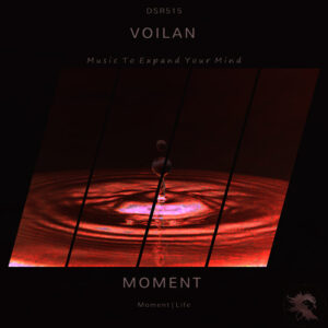 DSR515 Voilan - Moment