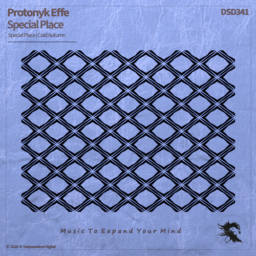 DSD341 Protonyk Effe - Special Place