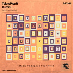 DSD348 TeknoPrznR - Burnin'