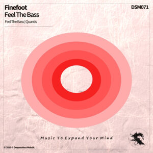 DSM071 Finefoot - Feel The Bass