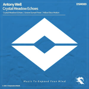 DSM089 Antony Well - Crystal Meadow Echoes